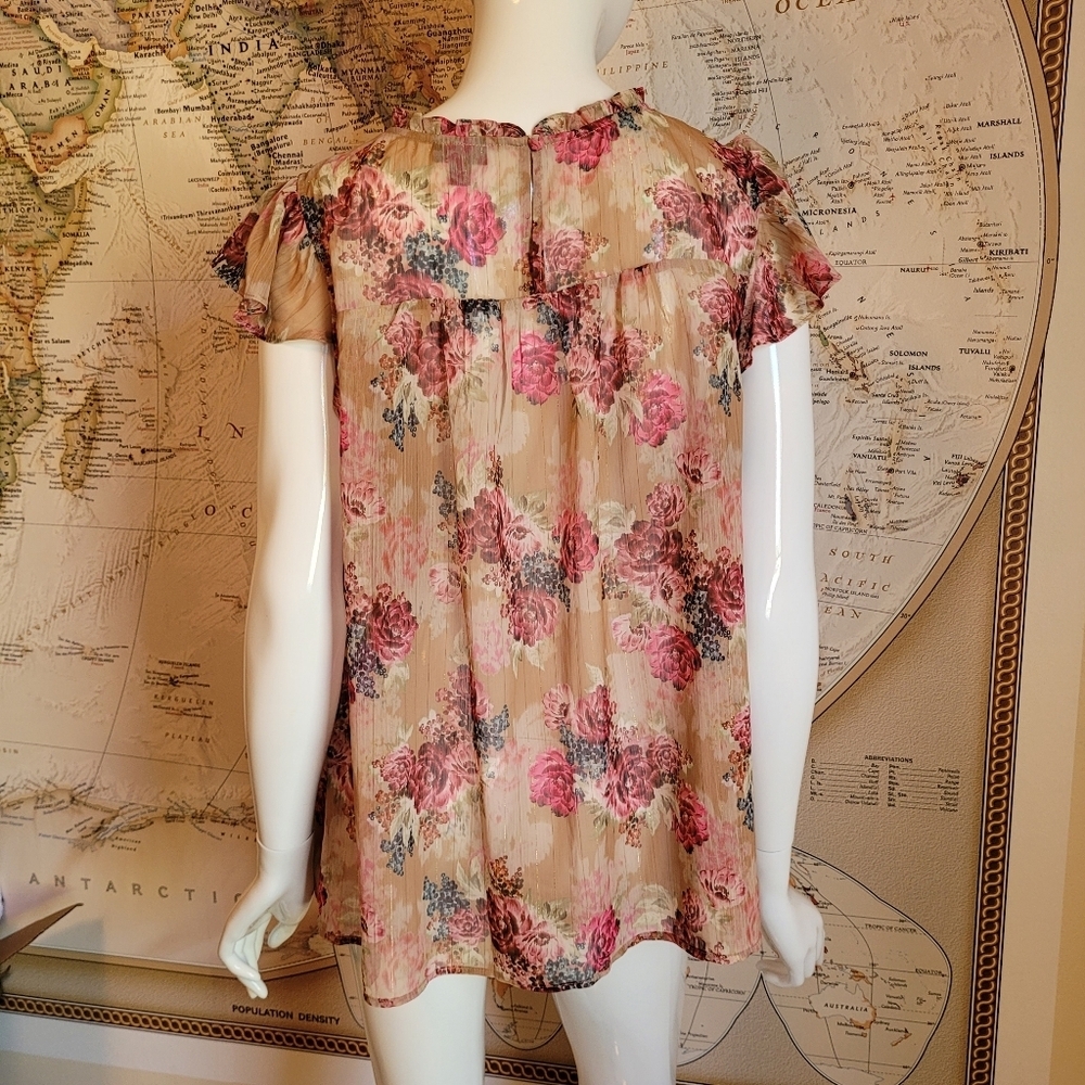 Torrid tan pink moody floral sheer blouse ruffle cap sleeves fairy girly M/L - Picture 2 of 11